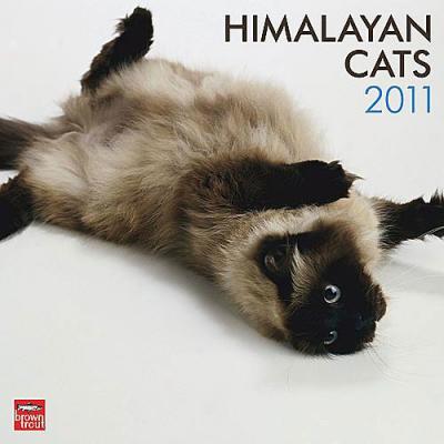 Himalayan Cats 2011 Calendar