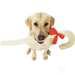 Holidqy Rawhide Candy Cane Dog Treat