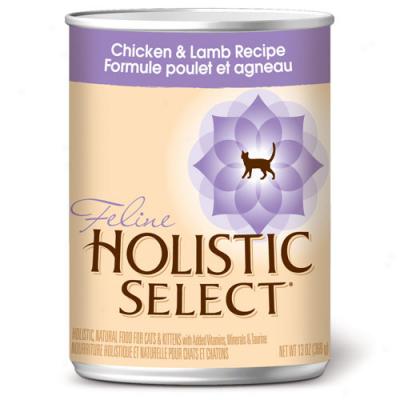  Food on Holistic Select Chicken Annd Lamb Cat Food 13oz Case Of 12 Cans