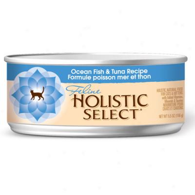 Holistic Select Ocean Fish Cat Food 5.5oz Case Of 24 Cans