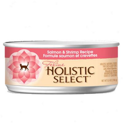 Holistic Select Salmon And Shrimp Cat Food 5.5oz Case Of 24 Cans