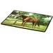 Horse Door Mats - 