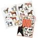 Horse & Pony Sticker Book