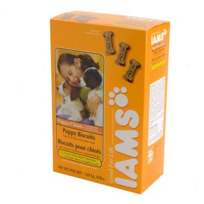 Iams Biscuist Puppy Formula