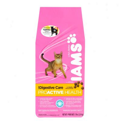 Iams Digestive Care Dry Cat Feed