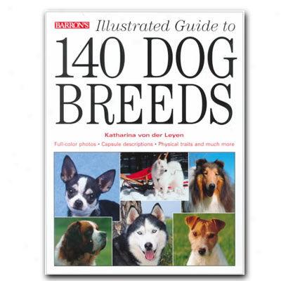 Illustratee Guide To 140 Dog Breeds