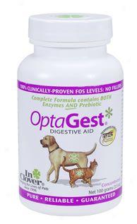 In Clover Optagest Digestive Aid Dog & Cat 300 Grams