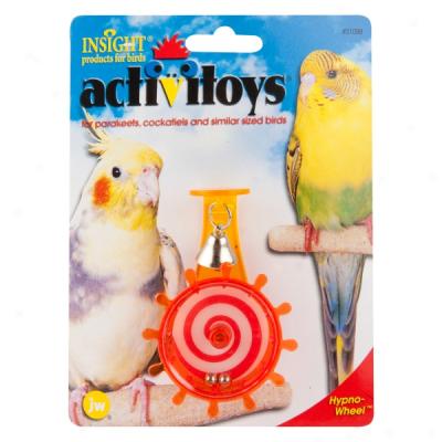 Insight Activitoys Hypno-wheel Toy For Small Birds