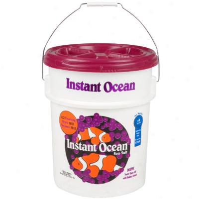 Instant Ocean Synthetic Sea Salt In favor of Saltwater Fish Tanks