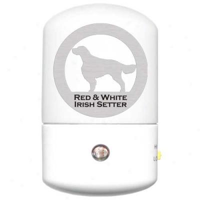 Irish Red And White Setter Led Night Light