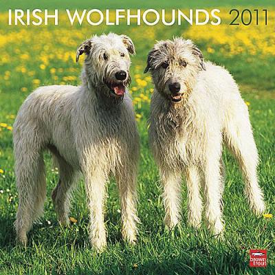 Irish Wolfhound 2011 Calendar