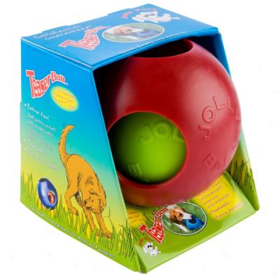 Jolly Pets Teasrr Ball Dog Toy