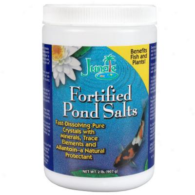 Jungle Pond Cleaning Solutions