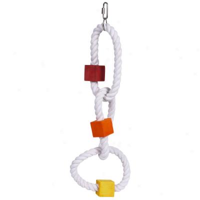 Jungle Talk Triple Block Ring Bird Toys