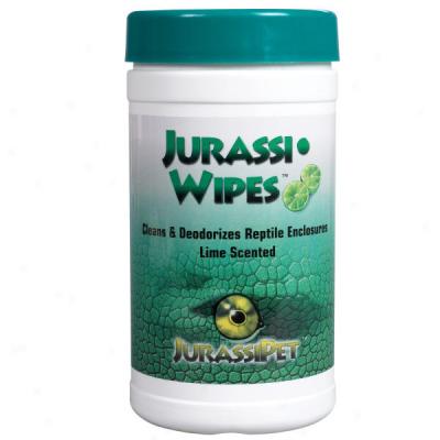Jurassiwipes Lime Scented Odor Removal