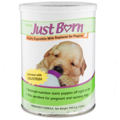 Just Born Milk Replacer For Puppies