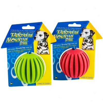 Jw Pet Tanzanian Mountain Ball Dog Toy