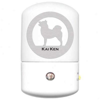 Kai Ken Led Night Light