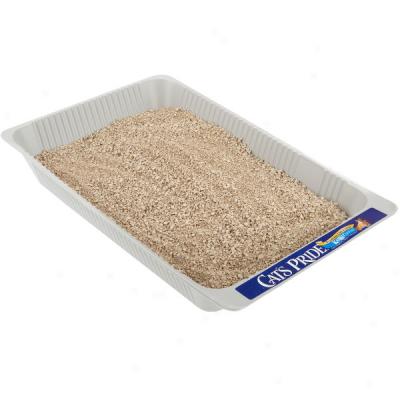 Katkit Disposable Litter Box