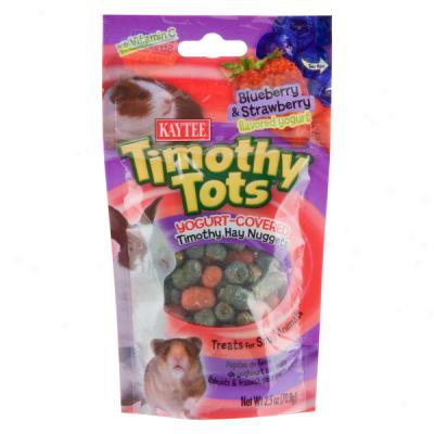 Kaytee Blueberry & Strawberr6 Tiomthy Tots Treats For Small Animals