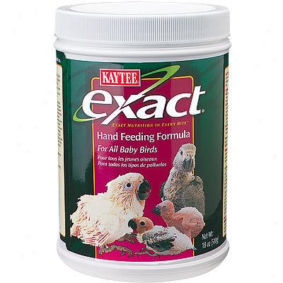 Kaytee Exact Hand-feeding Formila For Baby Birds And Macaws