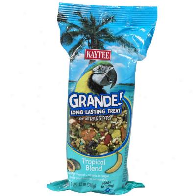 Kaytee Grande! Tropical Blend Treat For Parrots