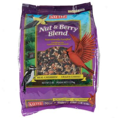 Kaytee Nut & Berry Blend Bird Seed