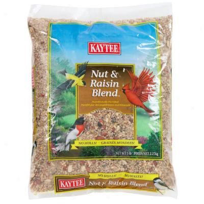 Kaytee Nut & Raisin Blend Wild Bird Food