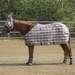 Kensington Year-round Protective Sheet - Pony