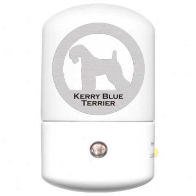 Kerry Blue Terrier Led Darkness Light