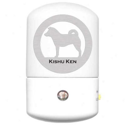 Kishu Ken Led Night Light