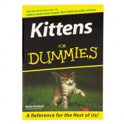 Kittens For Dummies