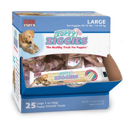 Kong Ziggies Puppy Large Cube