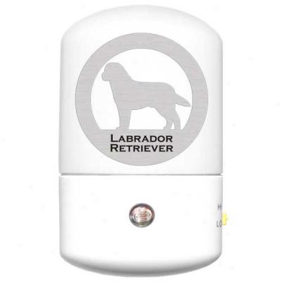 Labrador Retriever Led Night Light