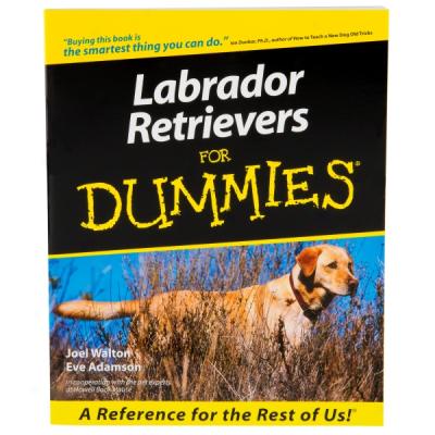 Labrador Retrievers For Dummies