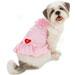 Lace Ruffle Dog Dress