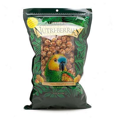 Lafeber Nutri-berries, Tropical Fruiy Parrot Food