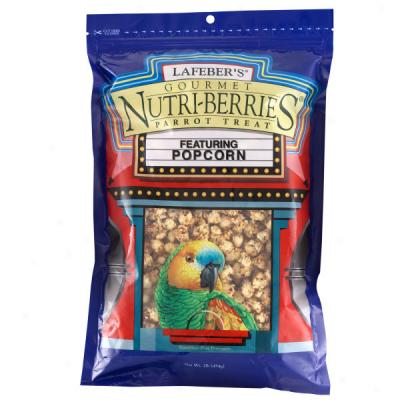 Lafeber Popxorn Nutri-berries Gourmet Parrot Treats