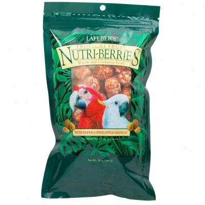 Lafeber Tropical Fruit Nutri-berries For Macaws And Cockatoos