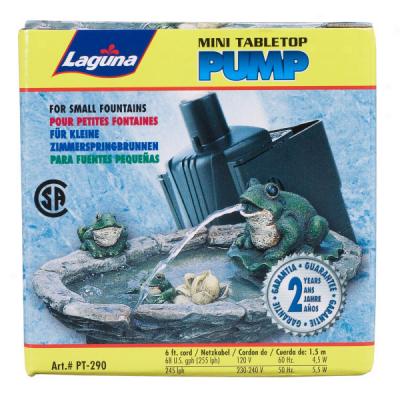 Laguna 65 Gph Tabletop Micromega Pump