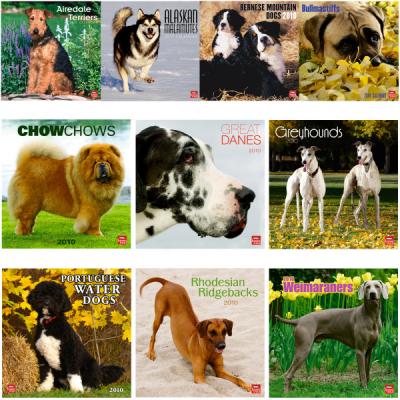 Large Breed Dogs 2010 Wall Calendars