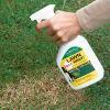 Lawn Spot Away! - For Instant Lawn Color