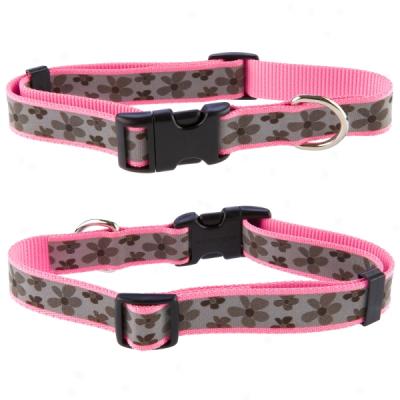 Lazer Brite Pink Daisy Reflective Dog Collar