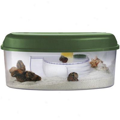 Lee's Hermit Crab Hideaway And Sponge