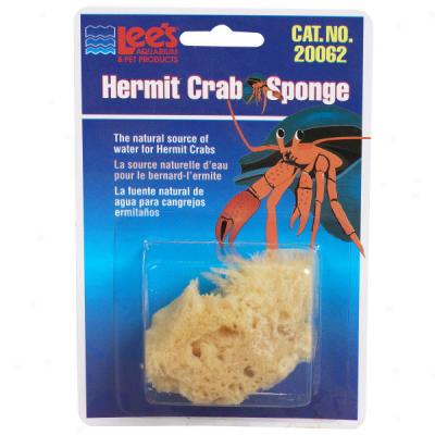 Lee's Hermit Crab Sponge