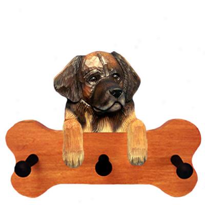 Leonberger Bone Hang Up Maple Finish