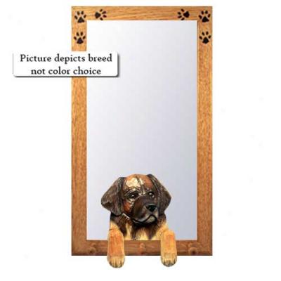 Leonberger Hall Mirror Attending Basswood Walnut Frame