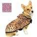 Leopard Print Rain Cape