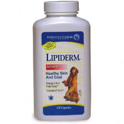 Lipiderm Advanced (120 Caps) Fatty Acid Supplement For Large Breesd