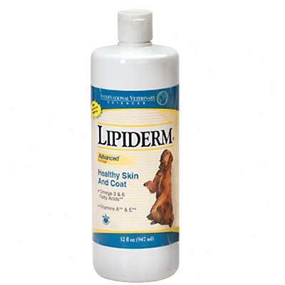 Lipiderm Healthy Skin & Coat Liquid